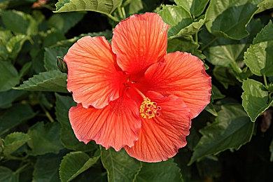 《使命召唤19》全新真人宣传片 阵容超豪华！